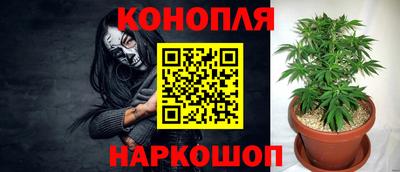 гашик Славянск-на-Кубани