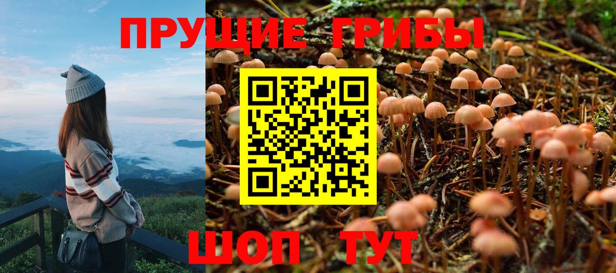 Галлюциногенные грибы MAGIC MUSHROOMS Обь